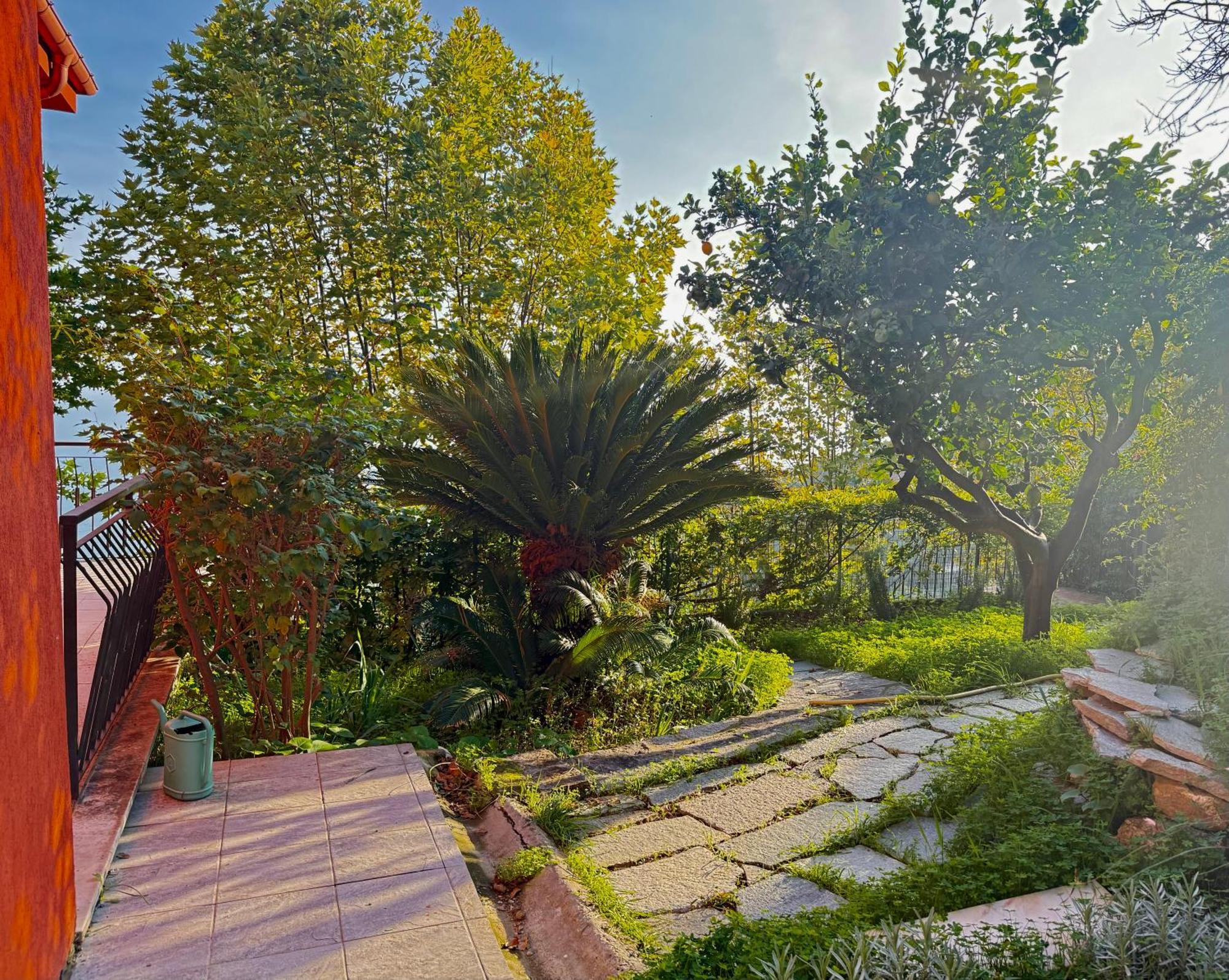 Villa Cielo Costarainera Exterior photo